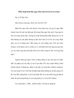 Phẫu thuật bệnh lõm ngực bẩm sinh (Pectus Excavatum) pdf