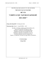 CHIẾN LƯỢC TẬP ĐOÀN KINH ĐÔ  2013 - 2020