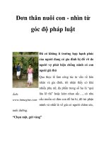 Đơn thân nuôi con - nhìn từ góc độ pháp luật ppsx