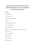 Ghi chú thay đổi về người đứng đầu, nội dung hoạt động, địa bàn hoạt động và trụ sở của Văn phòng con nuôi nước ngoài tại Việt Nam pps