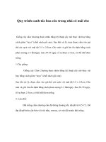 Quy trình canh tác hoa cúc trong nhà có mái che ppsx