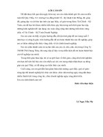 Phân tích tình hình tiêu thụ sản phẩm, doanh thu và lợi nhuận tại công ty TNHH TM Chung Thúy