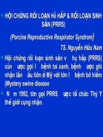 Hội chứng rối loạn hô hấp và rối loạn sinh sản pps