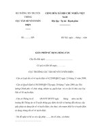 Mẫu giấy phép sử dụng băng tần doc