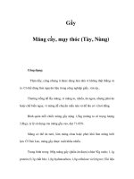 Gầy - Măng cầy, mạy thóc (Tày, Nùng) potx