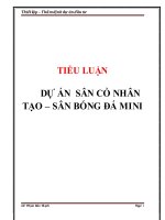 Thiết lập và thẩm định dự án đầu tư dự án sân cỏ nhân tạo – sân bóng đá mini