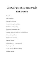 Cấp Giấy phép hoạt động truyền hình trả tiền pps