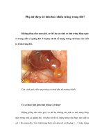 Phụ nữ được sở hữu bao nhiêu trứng trong đời? Không giống như nam giới, cơ potx