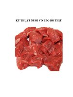 KỸ THUẬT NUÔI VỖ BÉO BÒ THỊT docx