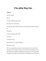 Cho phép Họp báo ppsx