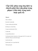 Cấp Giấy phép cung ứng dịch vụ chuyển phát thư (cấp phép trong phạm vi liên tỉnh, trong nước hoặc quốc tế) ppt