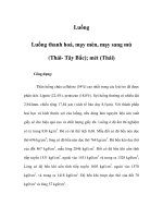 Luồng - Luồng thanh hoá, mạy mèn, mạy sang mú (Thái- Tây Bắc); mét (Thái) potx