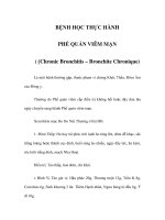 BỆNH HỌC THỰC HÀNH - PHẾ QUẢN VIÊM MẠN pot