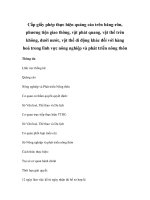 Cấp giấy phép thực hiện quảng cáo trên băng-rôn, phương tiện giao thông, vật phát quang, vật thể trên không, dưới nước, vật thể di động khác đối với hàng hoá trong lĩnh vực nông nghiệp và phát triển nông thôn doc