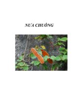 NƯA CHUÔNG ppt