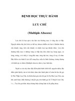 BỆNH HỌC THỰC HÀNH - LƯU CHÚ (Multiple Abscess) doc