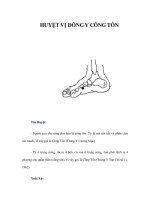 HUYỆT VỊ ĐÔNG Y CÔNG TÔN pdf