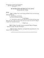 đề thi HSG lớp 10