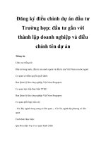 Đăng ký điều chỉnh dự án đầu tư Trường hợp: đầu tư gắn với thành lập doanh nghiệp và điều chỉnh tên dự án pdf