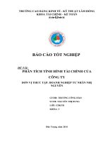 phân tích tình hình tài chính doanh nghiệp tư nhân nhị nguyên