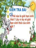 Bài 36: Quan hệ sinh vật và mối quan hệ giữa cá thể trong quần thể pot