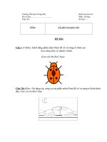 Đề thi học kỳ I tin lớp 4