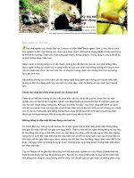 Một số kỳ thú về động vật