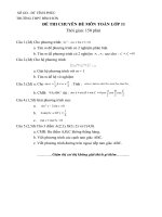 ĐỀ THI CHUYÊN ĐỀ MÔN TOÁN LỚP 11 (số 1) pot