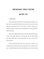 BỆNH HỌC THỰC HÀNH - BƯỚU CỔ pot