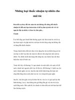 Những loại thuốc nhuộm tự nhiên cho mái tóc potx