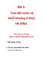 Bài 3: Trao đổi nước và muối khoáng ở thực vật (tiếp) pps