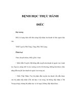 BỆNH HỌC THỰC HÀNH - ĐIẾC ppsx