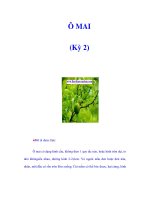 Ô MAI (Kỳ 2) ppsx