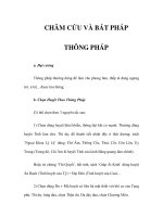 CHÂM CỨU VÀ BÁT PHÁP THÔNG PHÁP pps