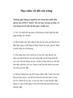 Mẹo chữa vết đốt côn trùng pdf