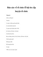 Báo cáo về tổ chức lễ hội do cấp huyện tổ chức doc