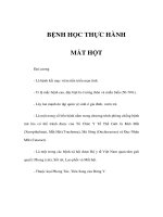 MẮT HỘT pdf