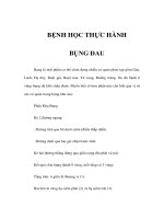 BỆNH HỌC THỰC HÀNH - BỤNG ĐAU pptx