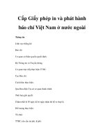 Cấp Giấy phép in và phát hành báo chí Việt Nam ở nước ngoài pptx