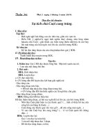 giaoantuan34 ngangchuan kien thuc ki nang