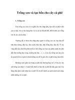 Trồng xen và tạo bồn cho cây cà phê docx