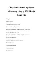 Chuyển đổi doanh nghiệp tư nhân sang công ty TNHH một thành viên ppt