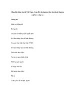 Cấp giấy phép vận tải Việt Nam – Lào đối với phương tiện vận tải phi thương mại là xe công vụ doc