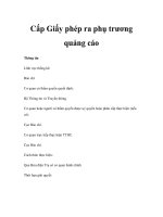 Cấp Giấy phép ra phụ trương quảng cáo pdf