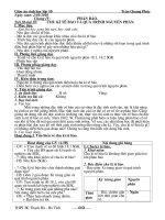 GA 10 HKII chuẩn 2 cột