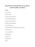 Đăng ký đổi Giấy chứng nhận đầu tư theo quy định của Luật Doanh nghiệp và Luật Đầu tư ppsx