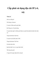 Cấp phát sử dụng địa chỉ IP (v4, v6) potx