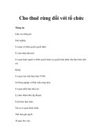 Cho thuê rừng đối với tổ chức potx