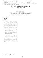 Chuyen de Nguyen ham tich phan