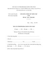 MẪU BÁO CÁO TÌNH HÌNH HOẠT ĐỘNG CÔNG NHẬN pot